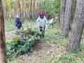 izobrazhenie_viber_2025-09-29_11-19-31-336