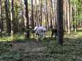 izobrazhenie_viber_2025-09-29_11-19-32-936