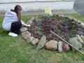 izobrazhenie_viber_2025-03-21_14-04-44-706