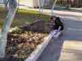 izobrazhenie_viber_2025-03-21_14-04-44-786