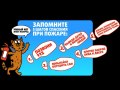 IMG_20260528_113113_314