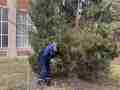 izobrazhenie_viber_2025-03-12_12-21-00-724