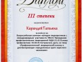Diplom-Karandey-Tatyana